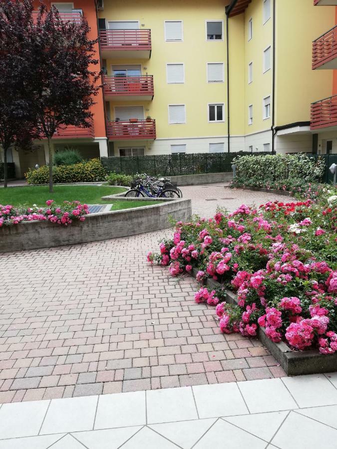 罗韦雷托Ca Delle Rose公寓 外观 照片