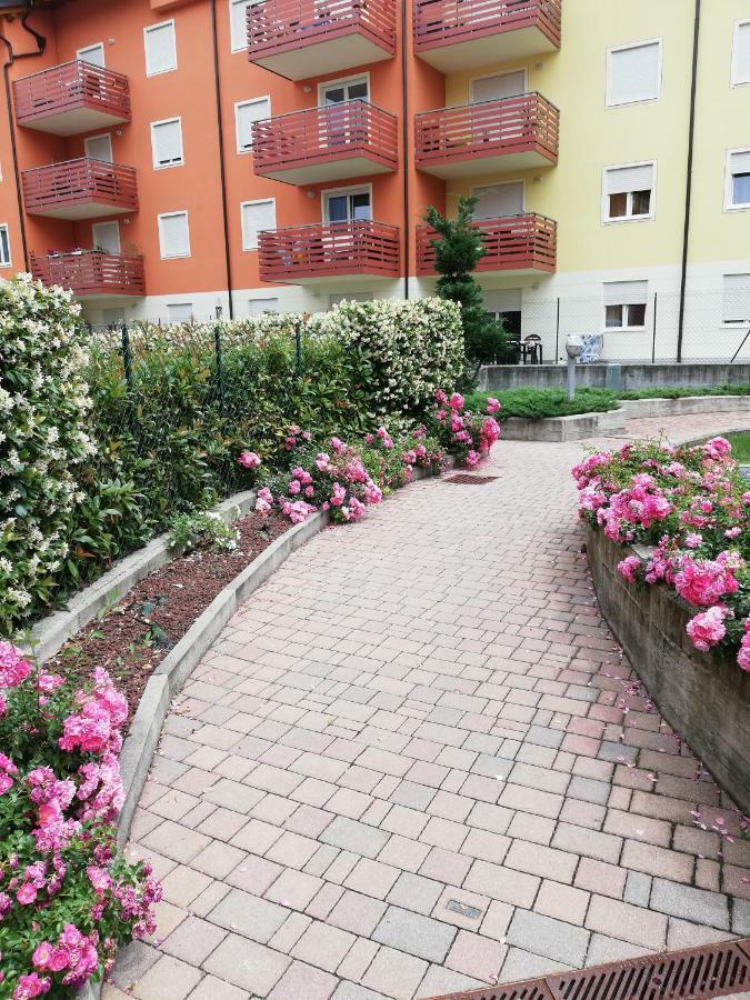 罗韦雷托Ca Delle Rose公寓 外观 照片